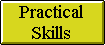 Practical Skills
